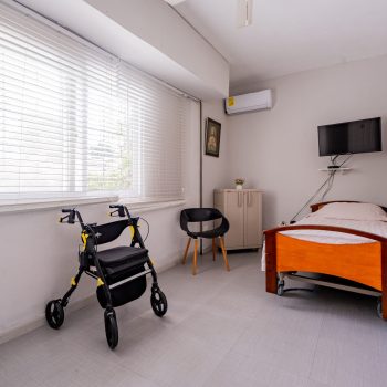 _PAL3185 _PAL3185